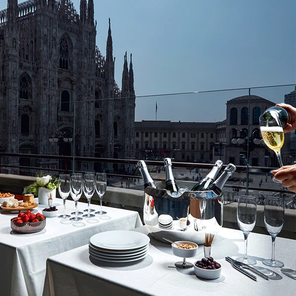 Cheap π Alessi Noe Wine Cooler π 5 Cheap π Alessi Noe Wine Cooler π - Image 3