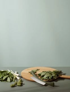 Cheapest π― Eva Solo Green Tool Herb Chopper, Green β 11 Cheapest π― Eva Solo Green Tool Herb Chopper, Green β -Alessi shop 531522 3