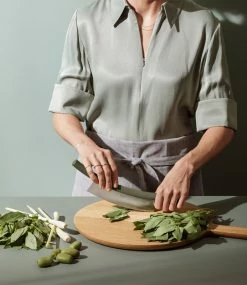 Cheapest π― Eva Solo Green Tool Herb Chopper, Green β 10 Cheapest π― Eva Solo Green Tool Herb Chopper, Green β -Alessi shop 531522 4