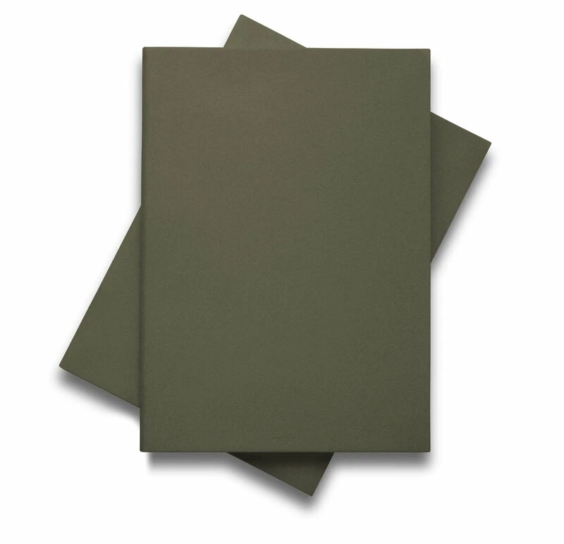 Brand new π Eva Solo Green Tool DoubleUp Cutting Board, Green π 6 Brand new π Eva Solo Green Tool DoubleUp Cutting Board, Green π - Image 4