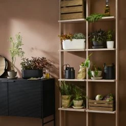 Best Pirce 🧨 Eva Solo 🧰 Toolbox, 15 Cm, Black ❤️ -Alessi shop 568168 568169 Selfwatering Herb organiser RGB HIGH