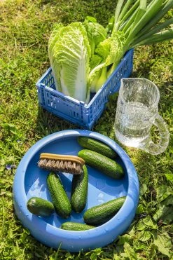 Best Pirce π Iris Hantverk Vegetable Brush π 9 Best Pirce π Iris Hantverk Vegetable Brush π -Alessi shop FDS1ruoka