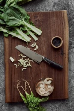 Coupon π Fiskars Titanium Santoku Knife π 8 Coupon π Fiskars Titanium Santoku Knife π -Alessi shop Fiskars Cooking Environmental Titanium Santoku knife 1027295