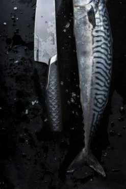 Deals π Fiskars Titanium Chef's Knife 16 Cm β¨ 11 Deals π Fiskars Titanium Chef's Knife 16 Cm β¨ -Alessi shop Fiskars Titanium Cooks knife 16cm 1027296 28329