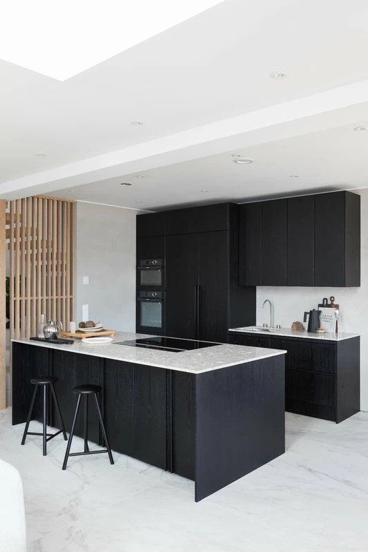 Coupon βοΈ Alessi Juicy Salif Citrus Squeezer, Aluminium π 8 Coupon βοΈ Alessi Juicy Salif Citrus Squeezer, Aluminium π - Image 6