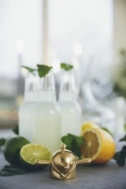 Budget π₯° Klong Finn Bottle Opener/hook π 11 Budget π₯° Klong Finn Bottle Opener/hook π -Alessi shop finn lemonad milj gina mannberg noresize