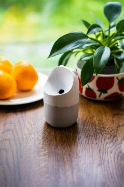 Coupon π― Happy Sinks KONNA The Fly Trap, Natural White π₯° 6 Coupon π― Happy Sinks KONNA The Fly Trap, Natural White π₯° -Alessi shop happy sinks konna the fly trap natural white coming soon 603271